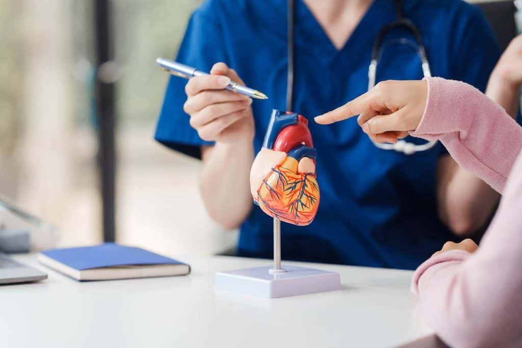 Doctor pointing to a miniature anatomical model of the heart during a patient consultation for heart valve disease